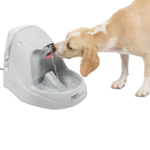 PetSafe Drinkwell Platinum Cat and Dog Water Fountain