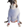 POPforPETS Post Operative Protection Shirt for Dogs